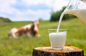 Milk